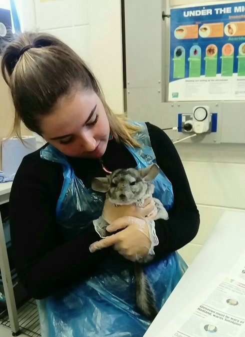 Girl holding an animal
